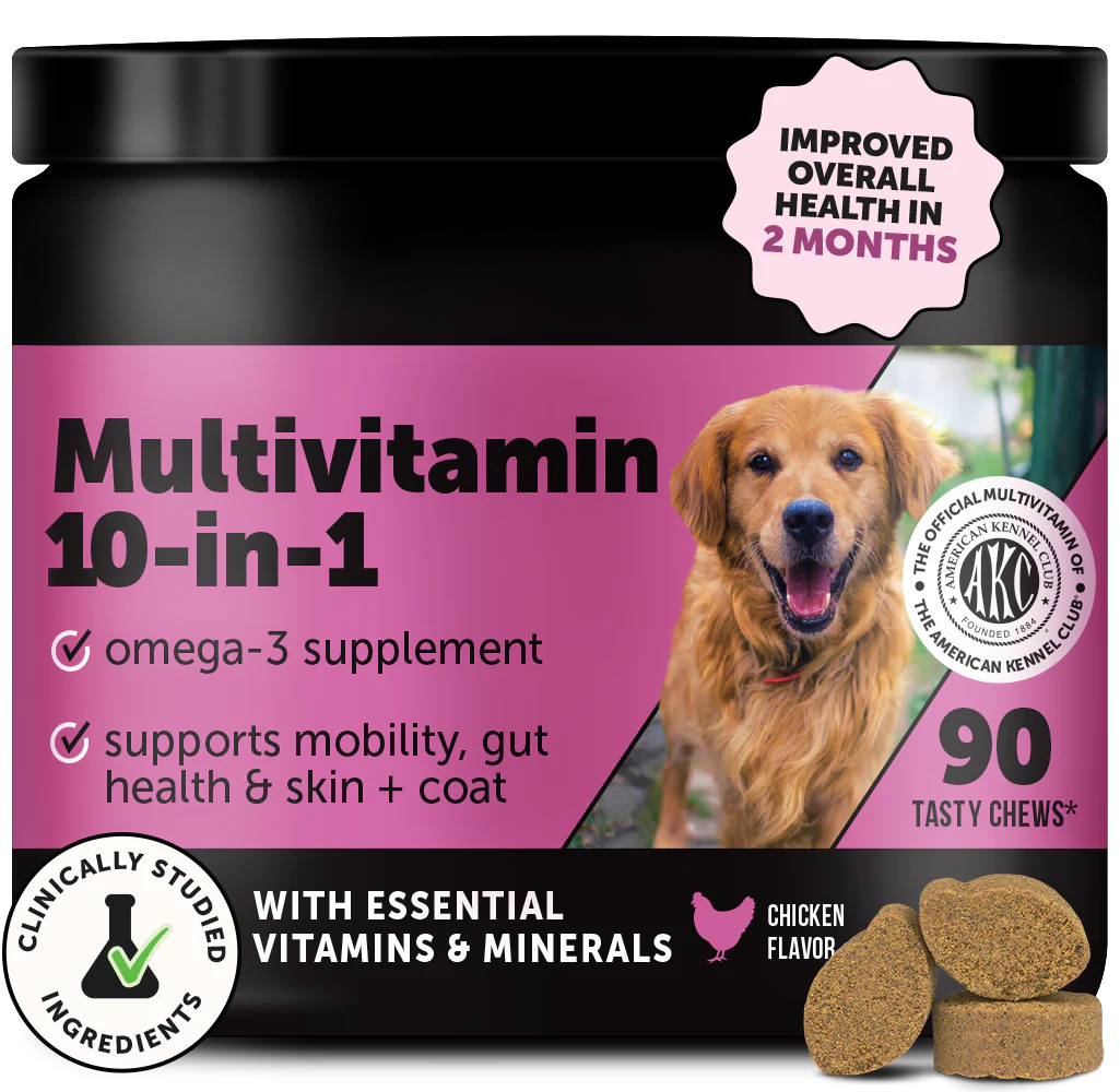 Multivitamin 10-in-1 Chews for Dogs (Chicken Flavor)